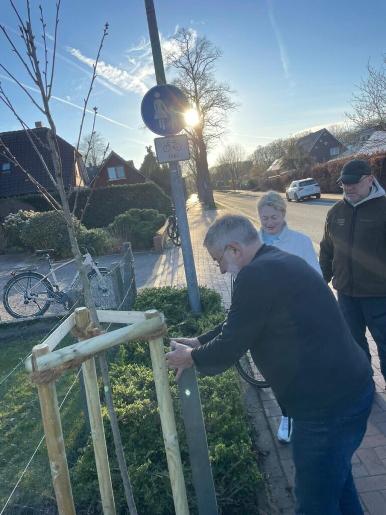 Drei neue Bäume für unser Dorf – Ein Zeichen für Gemeinschaft und Zukunft