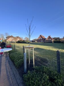 Bericht zur ersten Pflanzaktion 2026 in Bippen