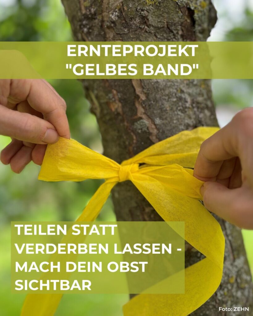 Teilen statt verderben lassen